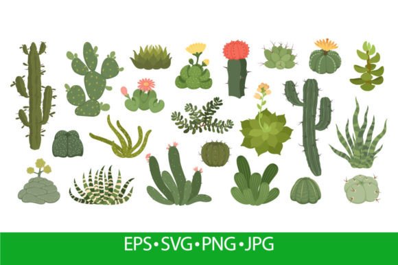 Cute Cactus and Succulents with Flowers Graphics