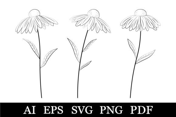Flowers Coloring Daisies Graphic for Crafting and Design