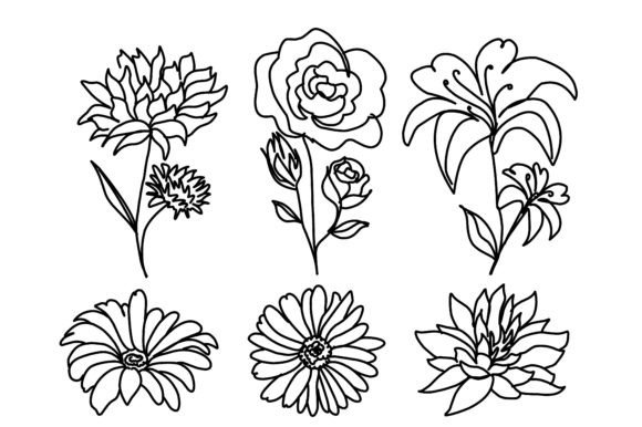 Flowers Set Hand Drawn Graphics for Branding