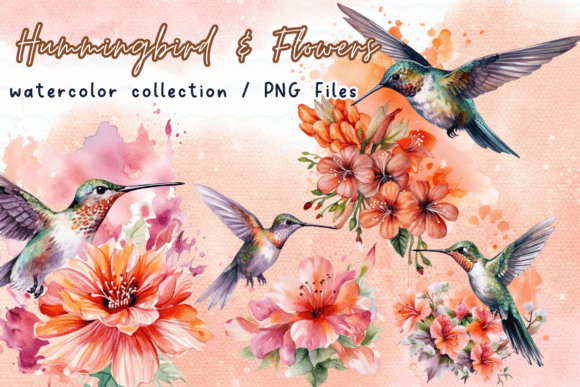 Humming Bird Flowers Watercolor Clipart Graphics