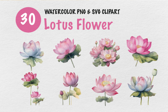 Lotus Flowers Watercolor Graphics for Branding