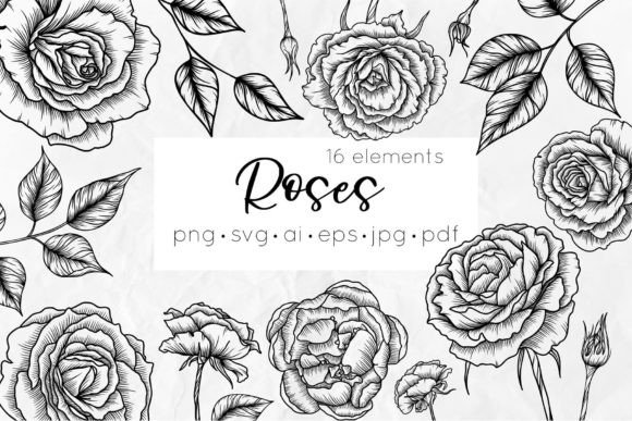 Roses Line Art SVG Flowers Graphics