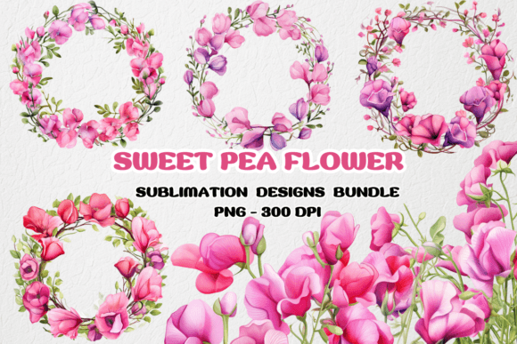 Sweet Pea Flowers Bundle Clipart Graphics