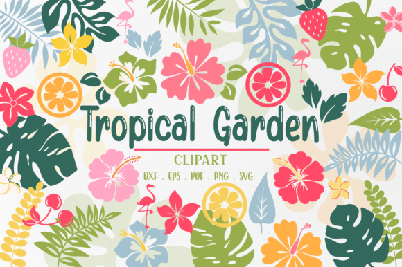 Tropical Island Graphics for Vibrant Content