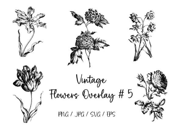 Vintage Flowers Overlay 4
