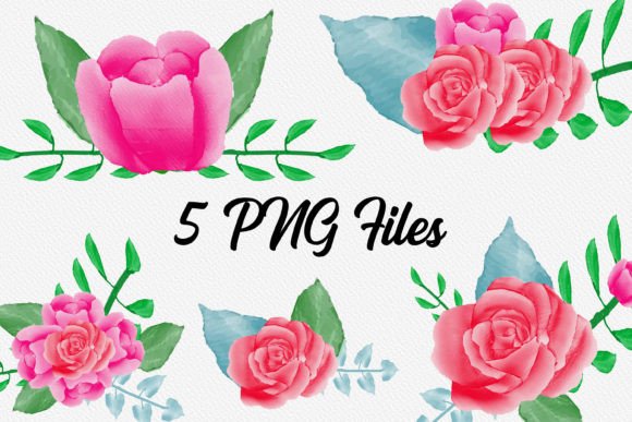 Watercolor Flowers Roses Graphics for Soft Branding