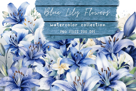 Watercolor Lily Blue Flowers Graphics