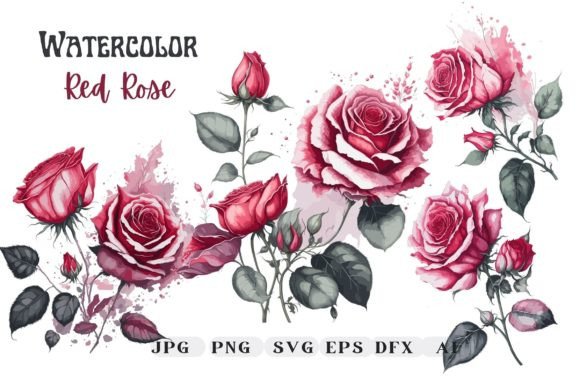 Watercolor Red Rose Flowers Clipart